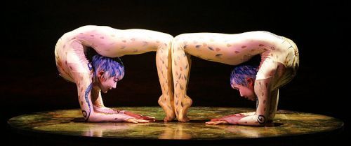 El Circo del Sol no deja indiferente a nadie El Circo del Sol no deja indiferente a nadie