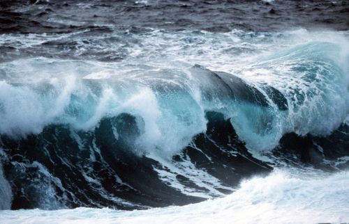 El mar El mar